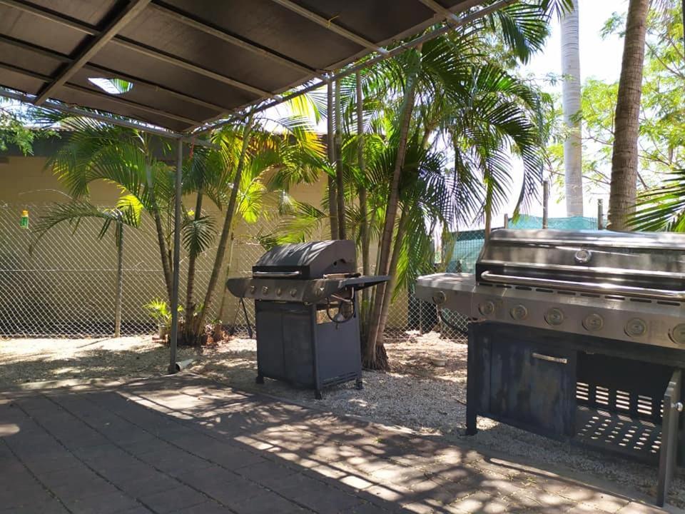 Palm Court Backpackers Hostel Katherine Bagian luar foto